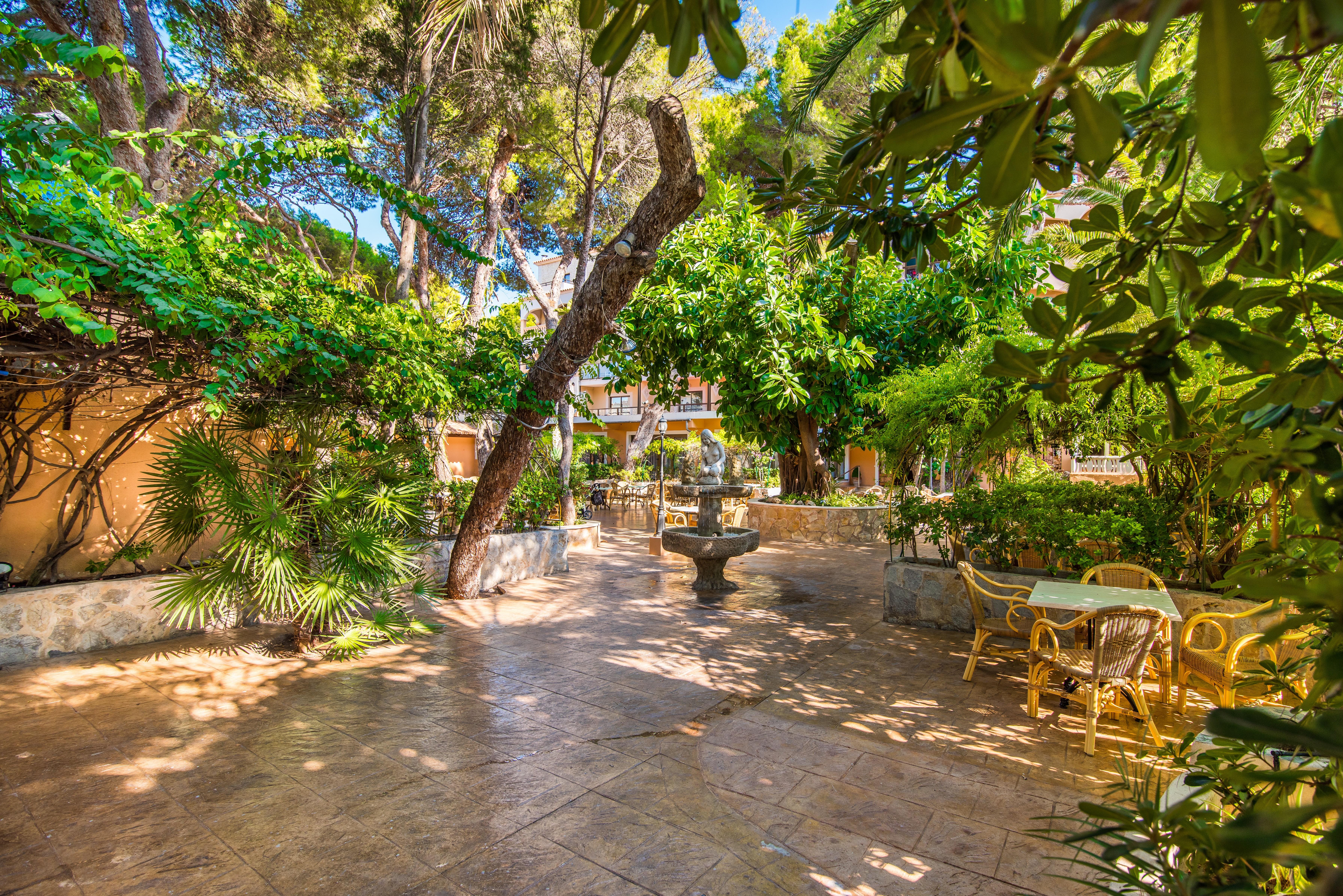 Hotel Baviera Cala Ratjada  Kültér fotó